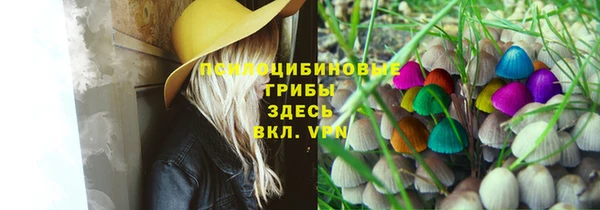 винт Алзамай