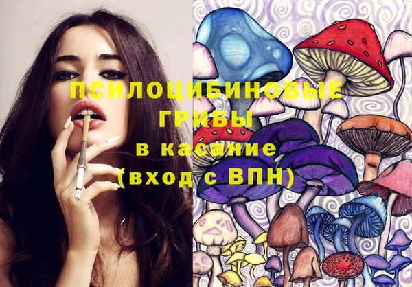 винт Алзамай