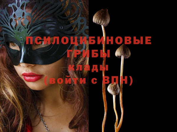 бошки Алексеевка