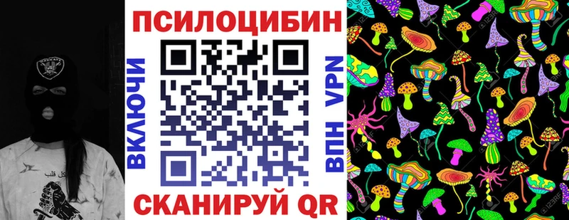 хочу   Уссурийск  Галлюциногенные грибы Psilocybine cubensis 